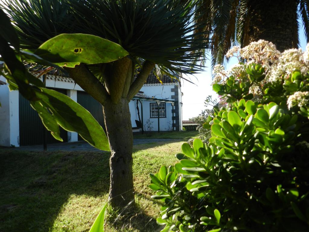El Lagar De Piedra Villa San Juan de la Rambla Екстериор снимка